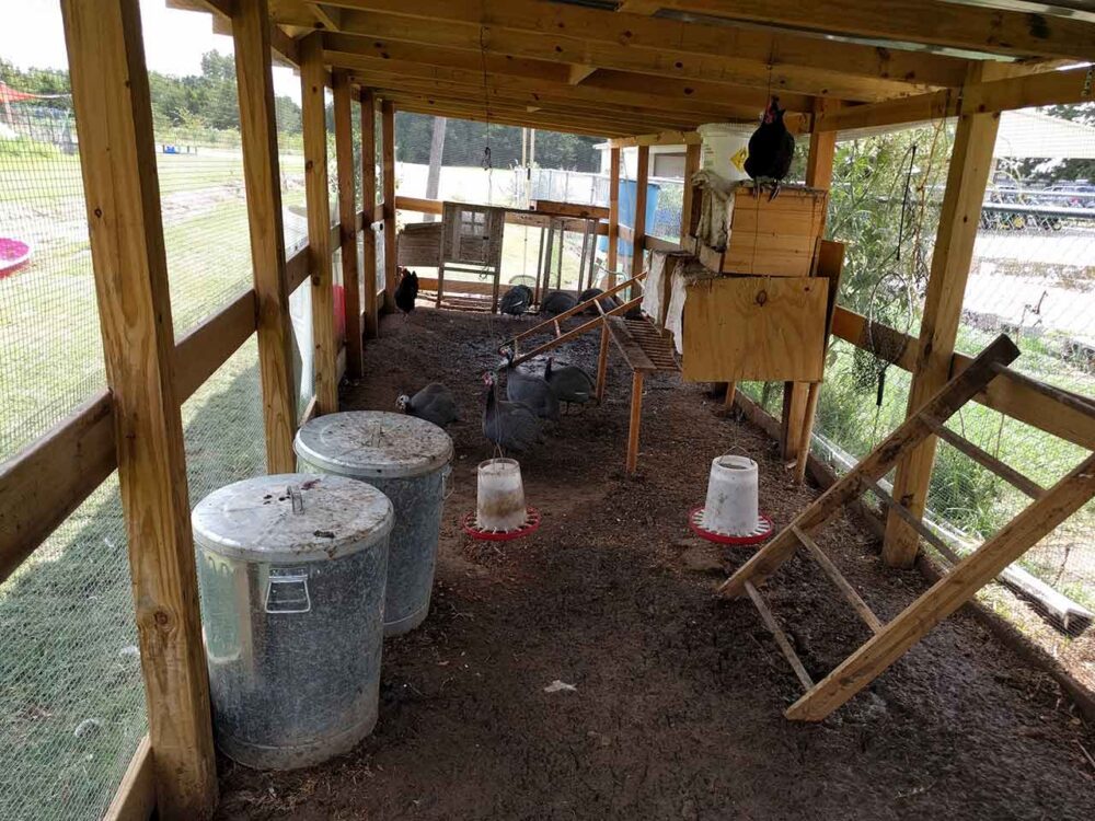 example of a well built chicken coop.