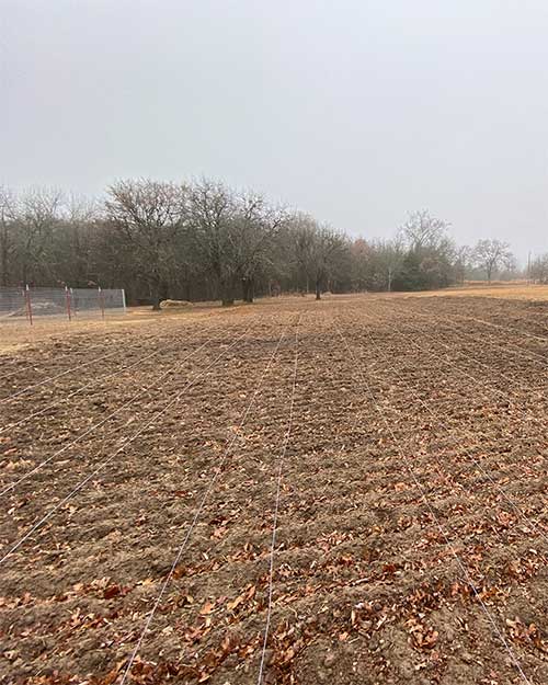 Merry Meadows starting garden plot prep