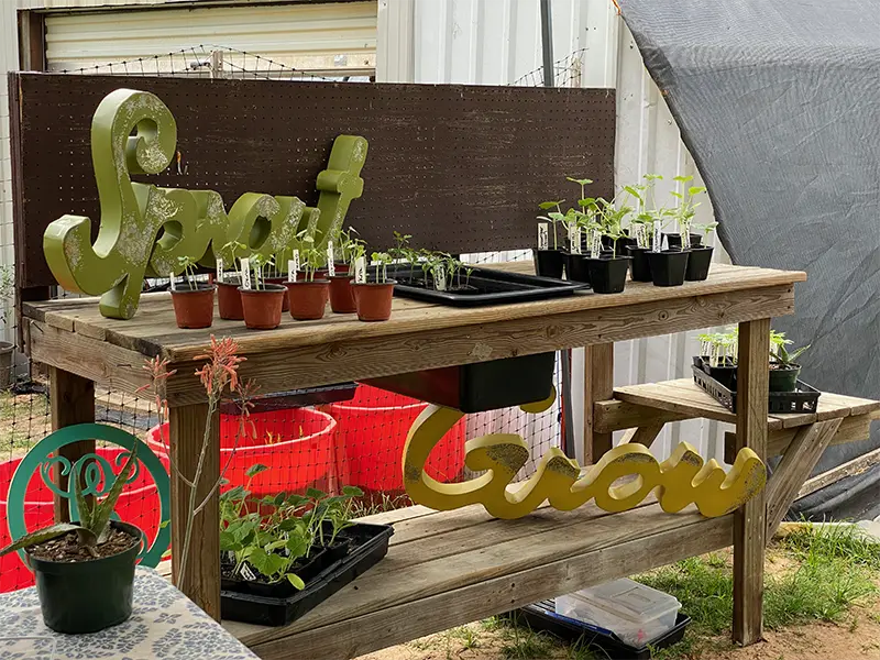 Merry Meadows' Spring Starts Booth