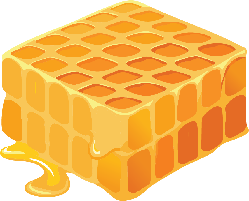 Honey Comb Chunk Illustration