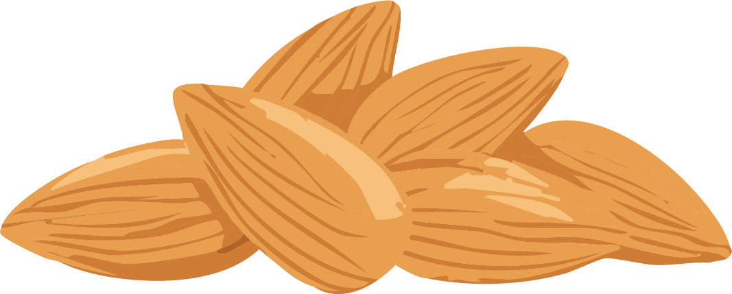pile of toasted almonds illustration