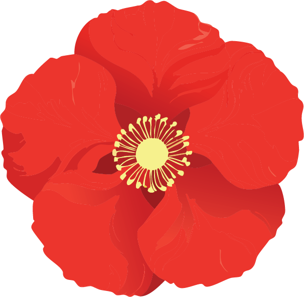Flower Illustration