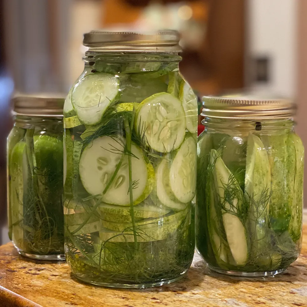 preserving cucumber pickles in jars