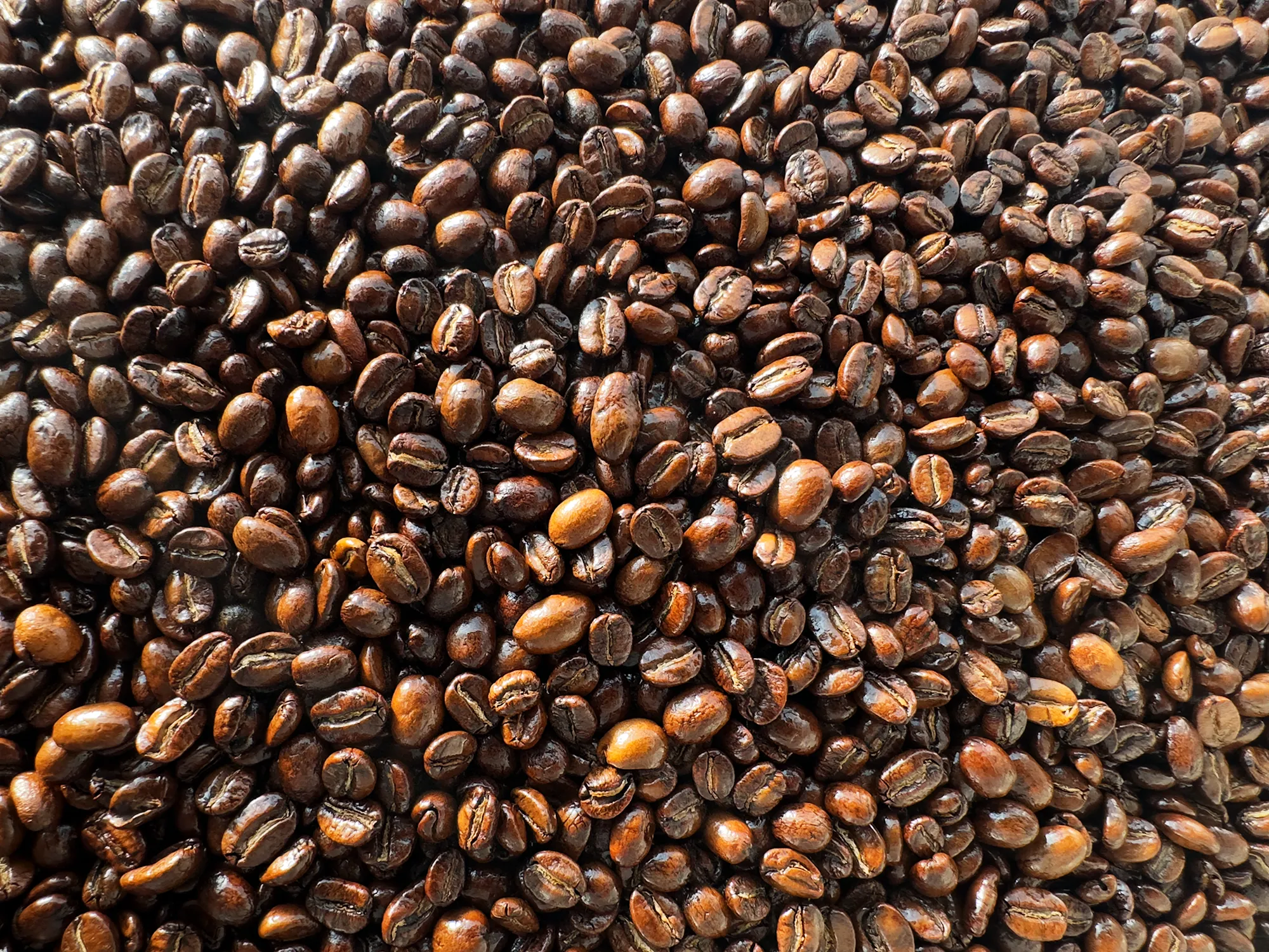 Merry Meadows' Roasted Coffee Beans