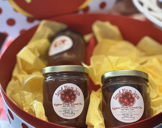 sand-plum-jam-set-at-merry-meadows-farm-store